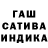 Марихуана сатива Alaa Aly