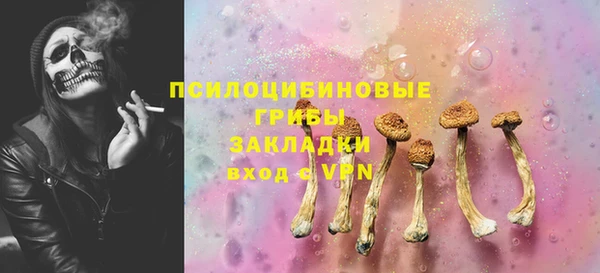 а пвп мука Абаза