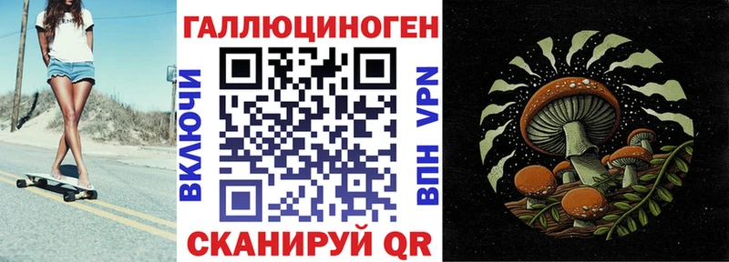 Галлюциногенные грибы Psilocybe  сколько стоит  Энем 